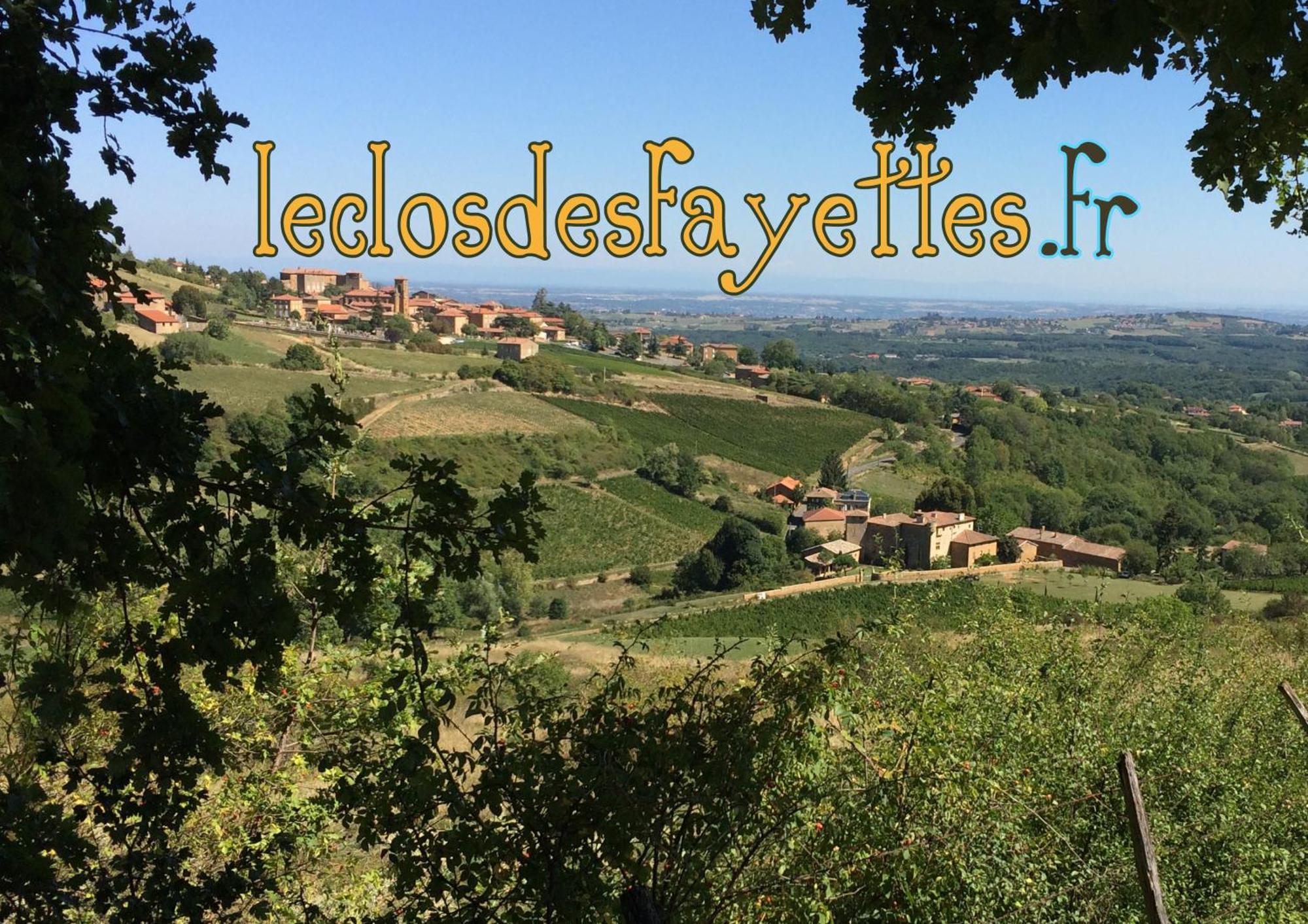Le Clos Des Fayettes Theize Exterior foto